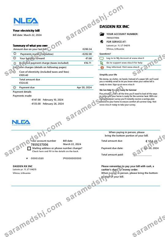 Lithuania National Lithuanian Energy Association business utility bill Word and PDF template